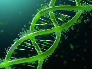 医疗健康医疗科技生物科技绿色叶子DNA分子